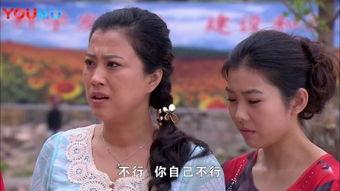 女人进城演员表李风格,魅力四射的都市女性传奇
