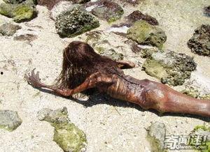 世界上最吓人的图片,盘点史上最吓人图片